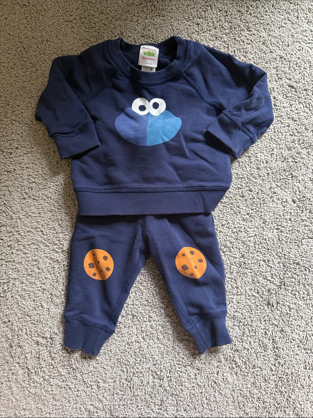Hanna Andersson Cookie Monster Outfit